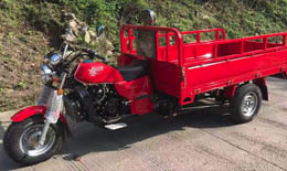 ТРИЦИКЛ ГРУЗОВОЙ AGIAX 5 (АЯКС) 250 КУБ.СМ, ВОДЯН.ОХЛ, КУЗОВ 2М. + КАБИНА + ТЕНТ КУЗОВА + ДУГИ