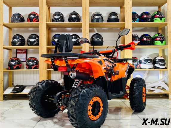 Квадроцикл FXMOTO HORNET 125