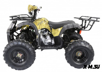 Квадроцикл ATV Termit TT Cross