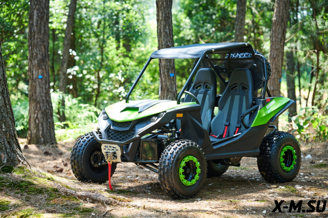Багги UTV PROMAX Ranger 250 EFI