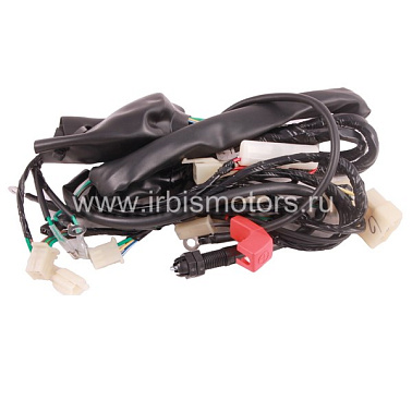 Жгут проводов ACTIV, EX110, IROKEZ