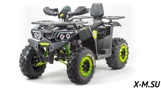 Квадроцикл PROMAX WILD 300 LUX (2024)