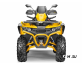 Квадроцикл STELS ATV800 (TE) ГЕПАРД 2.0 K01 EPS Tech