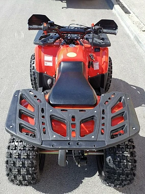 Квадроцикл PROMAX WILD 175 BASIC