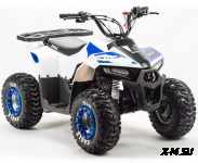 Квадроцикл MZ Eagle 110