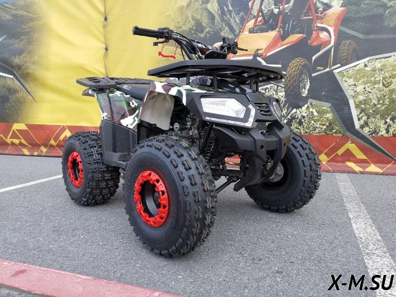 Квадроцикл WELS Thunder E2 PRO-SPORT