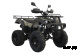Квадроцикл UNIVERSAL Avenger 250 MECHANICS