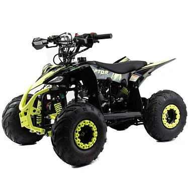 Квадроцикл MOTOLAND (МОТОЛЕНД) 110 RAPTOR A