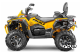 Квадроцикл STELS ATV800 (TE) ГЕПАРД 2.0 K01 EPS Tech