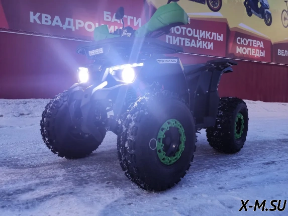 Квадроцикл PROMAX WILD 175 LUX