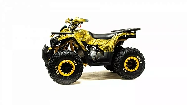 Квадроцикл MOTOLAND (МОТОЛЕНД) 125 WILD X