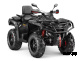 Квадроцикл AODES Pathcross ATV650L EPS XE PRO SPORT 2025г.