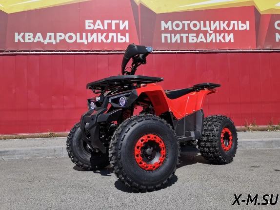 Квадроцикл PROMAX WILD 175 BASIC