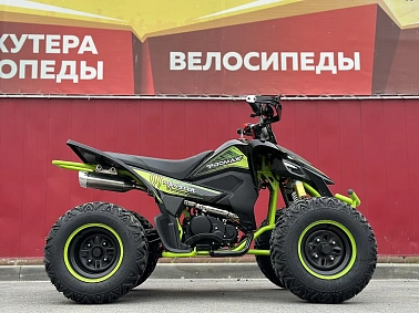 Квадроцикл PROMAX RAPTOR 300 AIR Monster