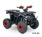 Квадроцикл YACOTA Sirius 125