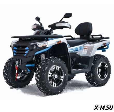 Квадроцикл MOTOLAND (МОТОЛЕНД) 300 MAX X (с ПСМ)