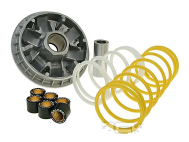 Вариатор в сборе Foresight Multivar MALOSSI 5111226