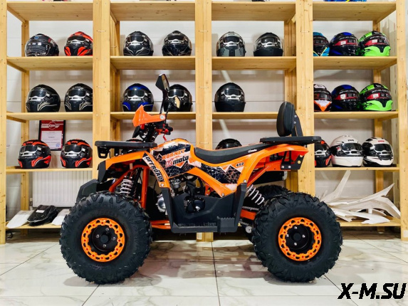 Квадроцикл FXMOTO HORNET 125